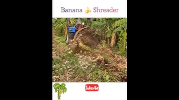 😱 #banana tree 🍌#cutting #machine 😱 #shorts