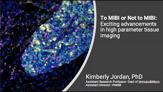 To MIBI or Not to MIBI: Exciting Advancements in High Parameter Tissue Imaging