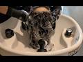 20分で寝かすシャンプーASMR　Relax Shampoo