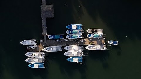Costa Rica Fishing at The Zancudo Lodge 2021-2022