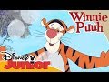 Kleine Abenteuer mit Winnie Puuh - Einer wie Tigger | Disney Junior