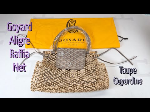 Is This Goyard Bag The Ultimate Backpack  Behind The Goyardardine Canvas 