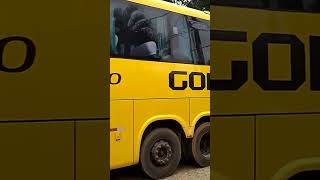 Gontijo 19540#gontijo #onibus #marcopolo #scania #viagem #shorts #luxo