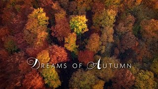 Dreams of Autumn in 4K60 | DJI Phantom 3 | FPV | 2016