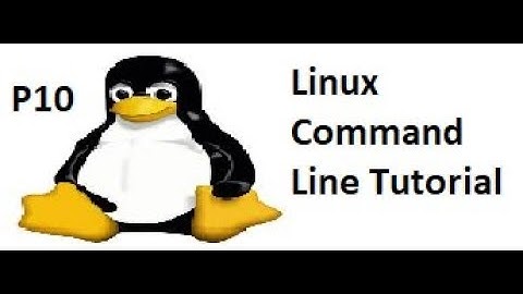 Use pipes to connect commands together