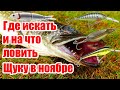 Как и на что Ловить щуку в ноябре. Ловля щуки осенью.