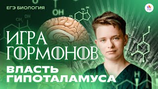 Гипоталамо-гипофизарная система за 10 МИНУТ | Биология ЕГЭ