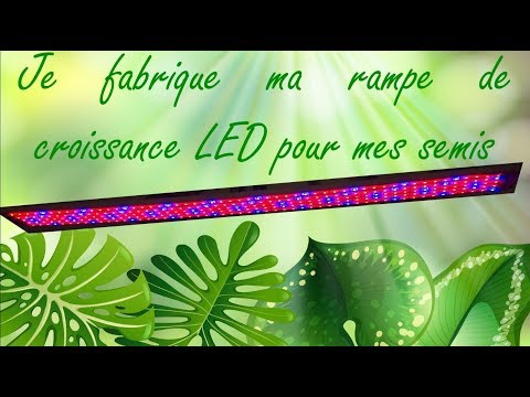 Vidéo: Ampoules LED pour semis. Lampe de semis bricolage