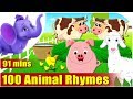 Top 100 Animal Rhymes in English