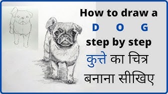 How To Draw A Dog Youtube How To Draw A Dog Youtube