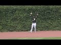 MLB: Lost in the Ivy