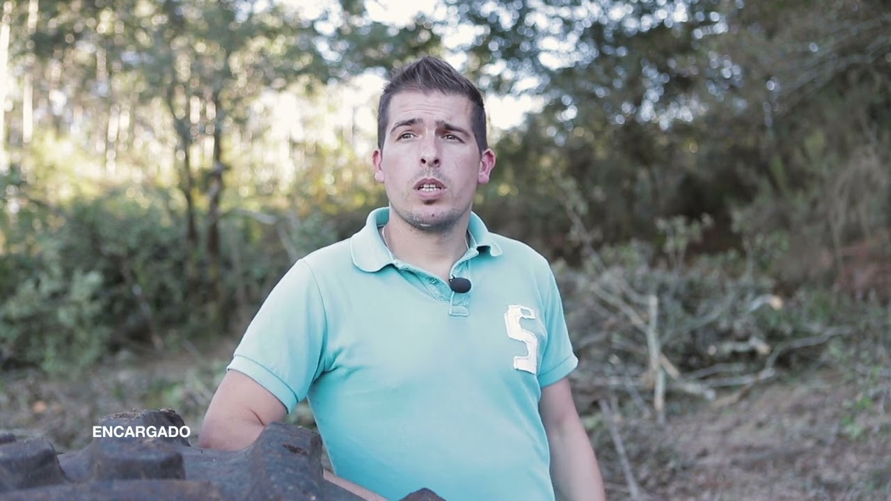 PEFC, garantía para a cadea de valor da madeira en Galicia