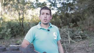 PEFC, garantía para a cadea de valor da madeira en Galicia