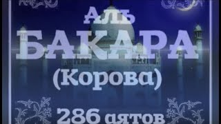 Аль-Бакара - Корова - البقرة