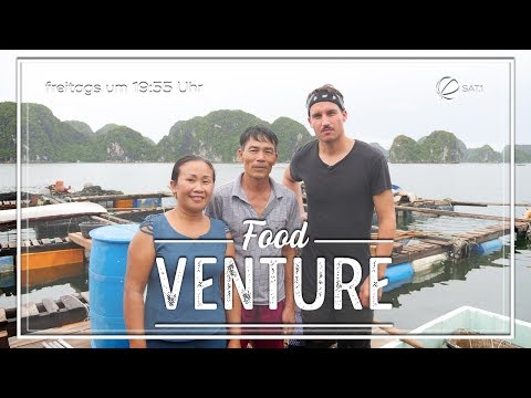 Video: Wie Einfach Es Ist, Eine Geführte Tour Durch Die Halong-Bucht In Vietnam Zu Organisieren