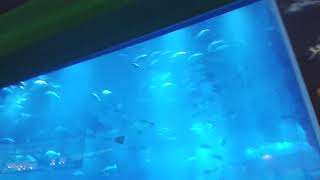 20120104 032707