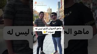 ما هو الحيوان الذي ليس له صوت