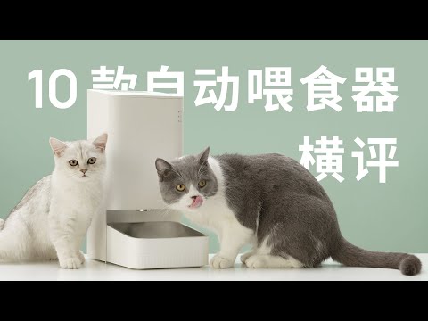 出门不在家！主子要吃饭！10 款自动喂食器横评 | 先看评测 宠物 猫粮