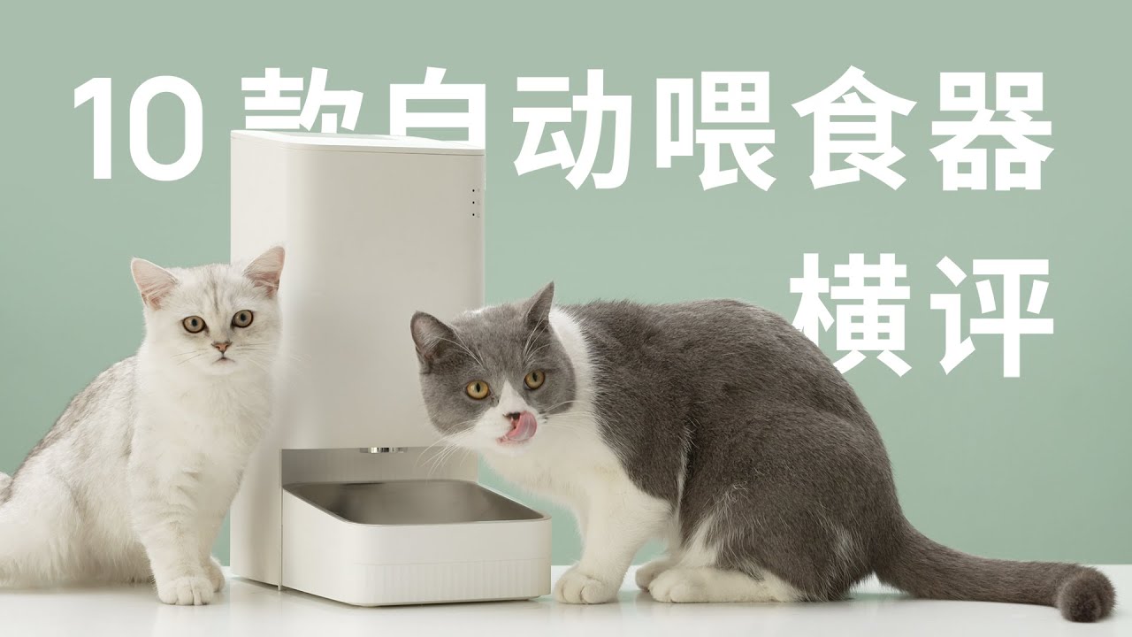 出门不在家 主子要吃饭 10 款自动喂食器横评 先看评测宠物猫粮 Youtube 出门不在家 主子要吃饭 10 款自动喂食器横评 先看评测宠物猫粮 Youtube