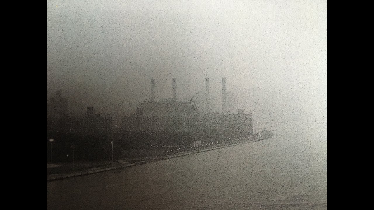 luca  "Packing Pellets"