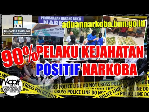 MAYORITAS PELAKU KEJAHATAN DIAWALI DENGAN NARKOBA!? | LAPORKAN!  MELALUI aduannarkoba.bnn.go.id