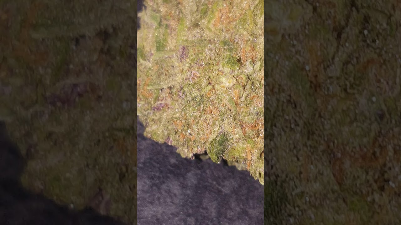 Cherry Punch (Cherry Ak47 x Purple Punch)