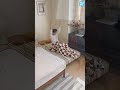 🛋️☕ 置くだけで、くつろぎ完成｜サイドテーブル付きソファベッド✨ #tiaro #ソファベッド #shorts #fyp #livingroomdecor #sofa #lifestyle