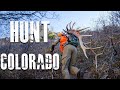 How To Hunt Colorado (For Elk, Deer and Antelope)