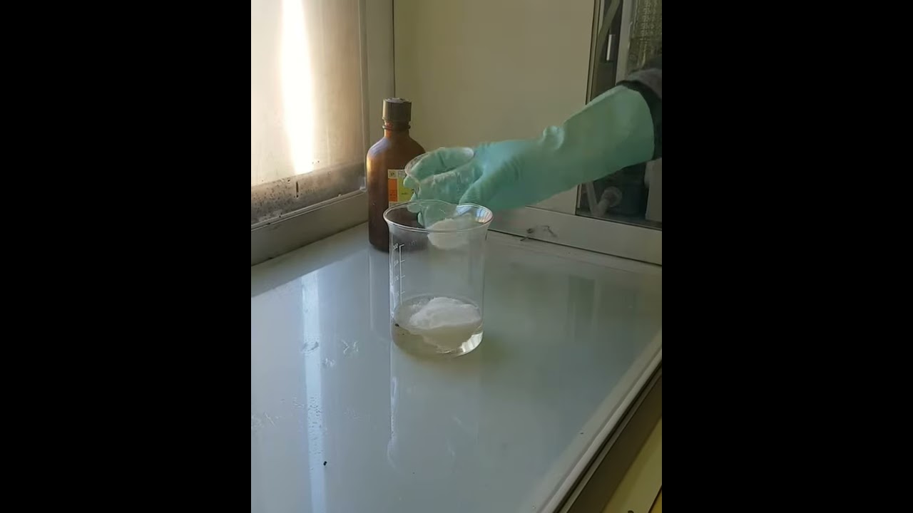 THE REACTION BETWEEN SUGAR AND SULFURIC ACID