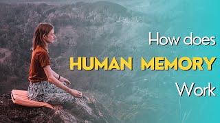 Unlock the Secrets of Your Mind: Discover the Hidden Power of Your Memory by Fast Facts 42 views 6 months ago 3 minutes, 42 seconds