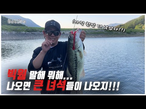 배스들도 방송이 뭔지 아는듯...?ㅎㅎㅎ (feat. 박성완 )
