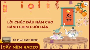 Lời chúc đầu năm cho cánh chim cuối đàn | GS. Phan Văn Trường | Cấy Nền Radio