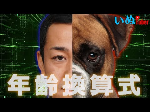松本秀樹流！犬年齢換算式！