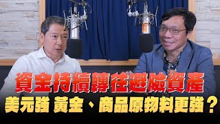 &#39;24.04.22【豐富│財經一路發】台灣金融培訓協會理事長林昌興談「資金持續轉往避險資產，美元強 黃金、商品原物料更強？」