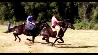 Turismo Rural en Gorbea - Chile
