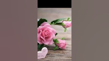 أواخر البقره #ابداع التلاوة فارس عباد💜حالات واتس آب