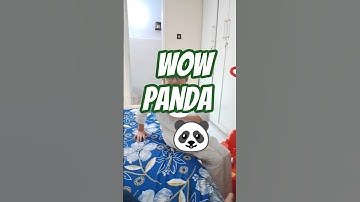 Enjoying with Little Panda 🐼 #shorts #shortsfeed #panda #animal #wildlife #video