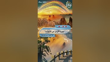 القارئ وليد ابراهيم حالات واتساب