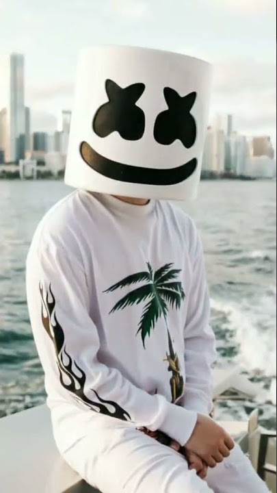 story wa alan Walker x marshmellow | 30 detik