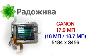 Долгострадающий 18 МП сенсор APS-C камер Canon (зеркальных и беззеркальных). 10 лет страданий. ξ019