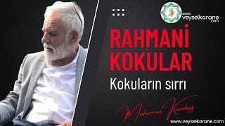 RAHMANİ KOKULAR ? KOKULARIN SIRRI