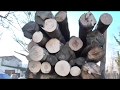 Доста: Високоякісні "дрова" Сваляви