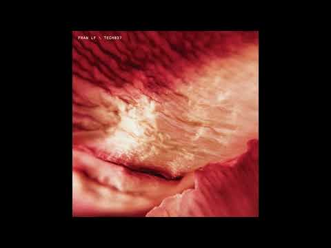 Fran LF — You Bring Me Down [TECH037]