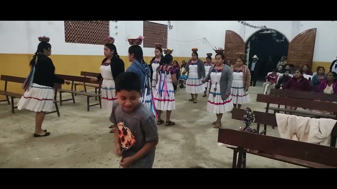 Danza, de inditas santa Cecilia, informes, 7713463437, sólo por Whatsapp, con Don Albino García,,