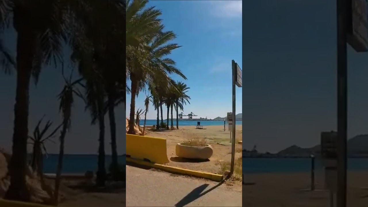 Puerto de Carboneras. #puertodeportivo #puertopesquero #pesca #pescador #trabajo #fish #barcos #4k