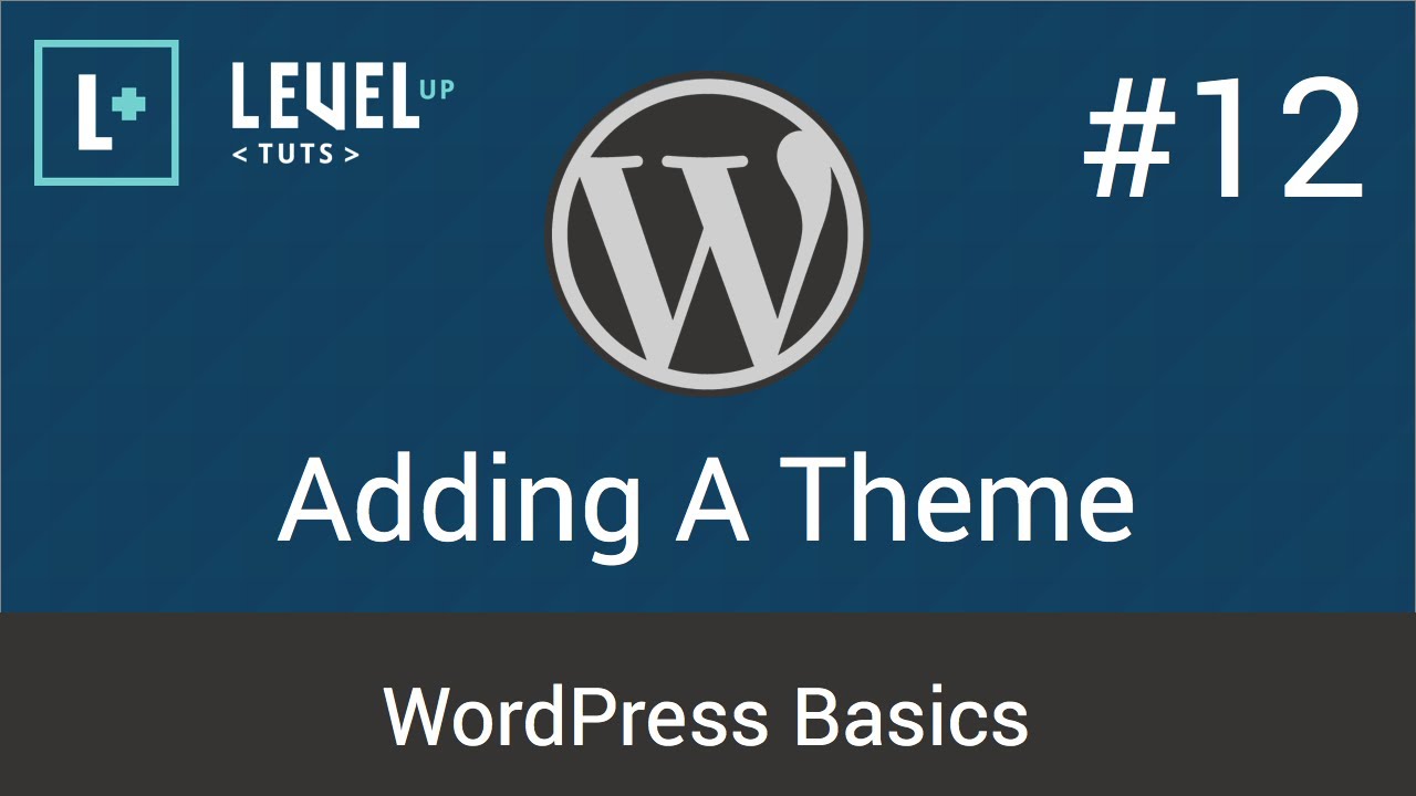 WordPress Basics #12 - Adding A Theme - YouTube