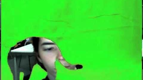 mvk_cat.mov