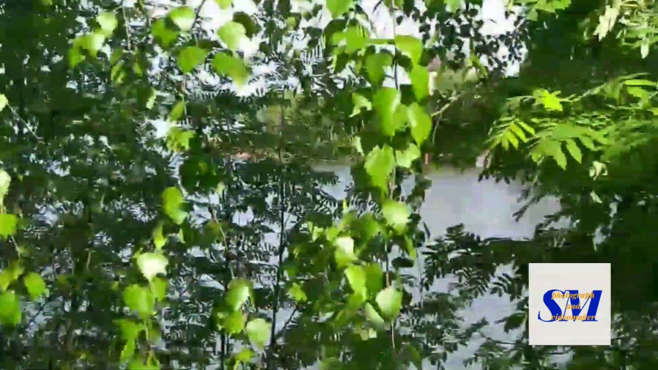 i-m-going-back-to-my-roots-youtube