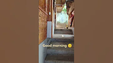 Shortvideo Trending Love 