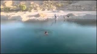 11858592 693936237417091 2092673412 n